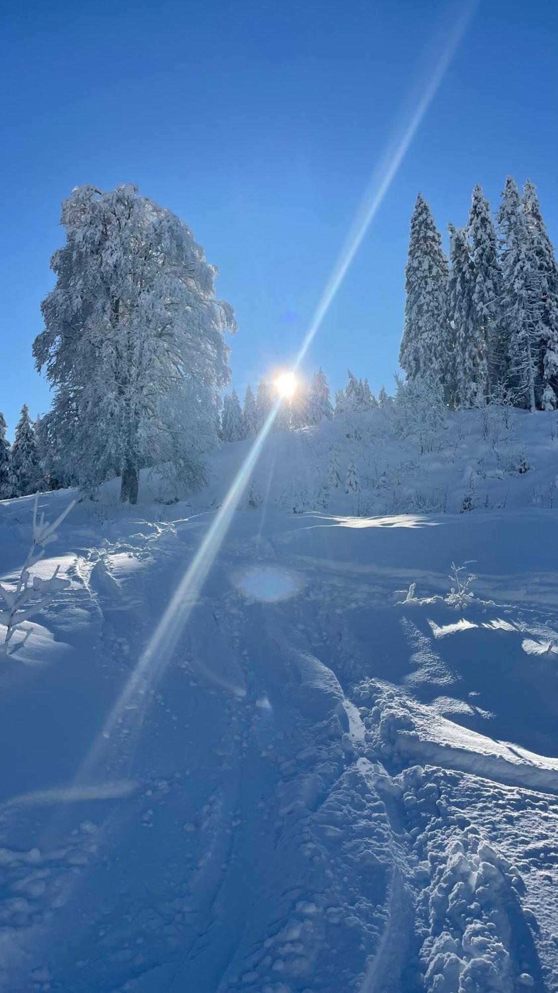 kleineauszeit3, Feldberg, direkt an Skipiste, mit Sauna Feldberg  Exterior foto
